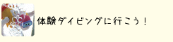 体験ダイビングに行こう！