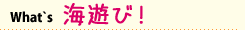 What's HINANO