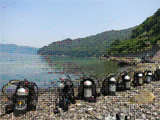 【 西海 】ダイビングイメージ