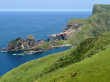 【 隠岐島 】ダイビングイメージ