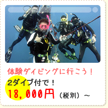 四国、島根の海で体験ダイビングに行こう！