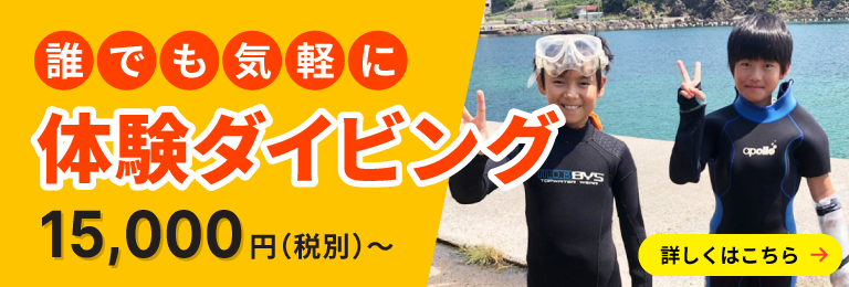 気軽に体験ダイビング（10歳から可能です）15,000円（税別）～