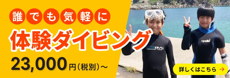 気軽に体験ダイビング（10歳から可能です）23,000円（税別）～