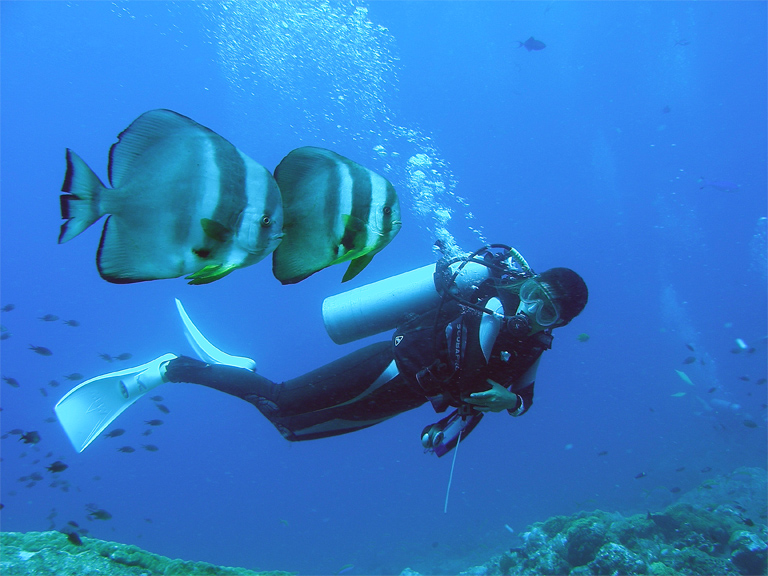 diving image