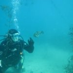 6月27日(土)急遽!!西海(四国)に変更になりました!!のイメージ