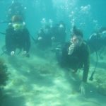 7月14日(火)大田の海を満喫しようーーー!!平日ツアーは最近リクエストが少ないので、是非!この機会に海でリフレッシュ!!のイメージ