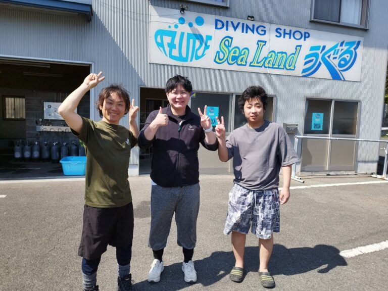 高確率でウミガメに会える、一番近い島【☆鵜来島！】