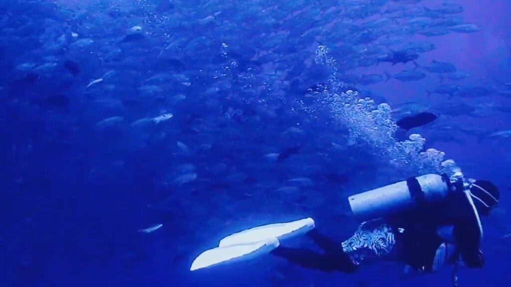 粟国島🌊新たな海の景色を求めて…やって来ました‼️のイメージ