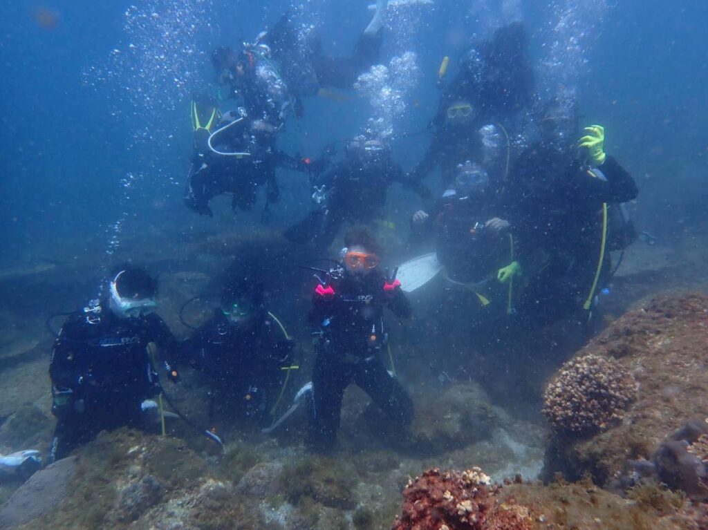 8/24 四国2ヶ所巡りツアー『鵜来島！』ウミガメ遭遇率！四国No.1!!のイメージ