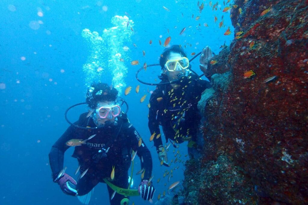 9/28 島根・多古ボートファンダイブ行ってきましたー!魚影も濃くて!!大物ぞくぞく登場!!のイメージ
