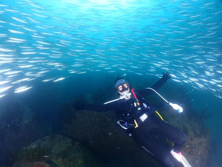 9/27 限定!ワイド好きダイバー集合ーっ!