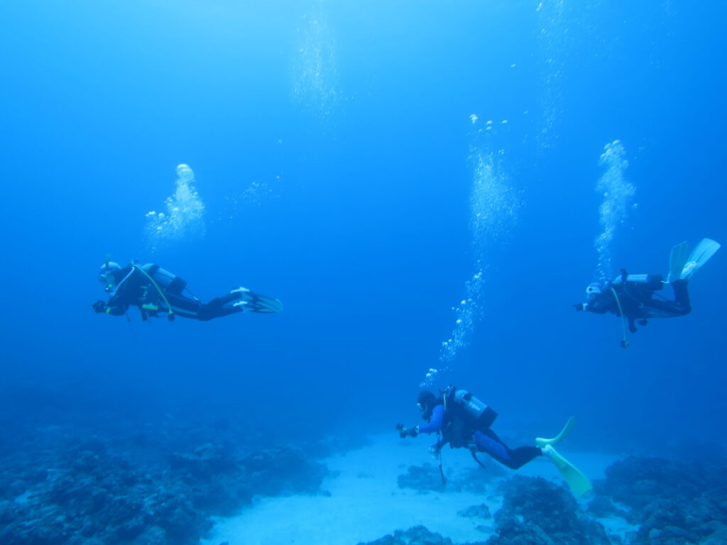 🌺3月19日～22日🐠【沖縄・座間味ステイツアー！】🐠座間味での食事付き🌺6ダイビング付き！！のイメージ