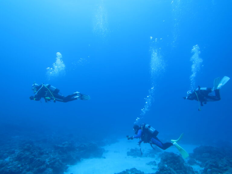 🌺3月19日～22日🐠【沖縄・座間味ステイツアー！】🐠座間味での食事付き🌺6ダイビング付き！！