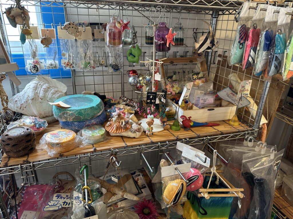 ✨🤿 各ダイビングブランドのキャンペーン開始！！ 🤿✨のイメージ