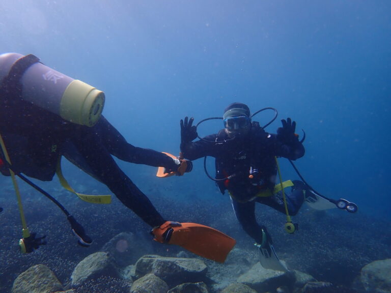 ２月1日（日）愛南のビーチで、ゆっくりドライスーツトレーニング！🤿✨
