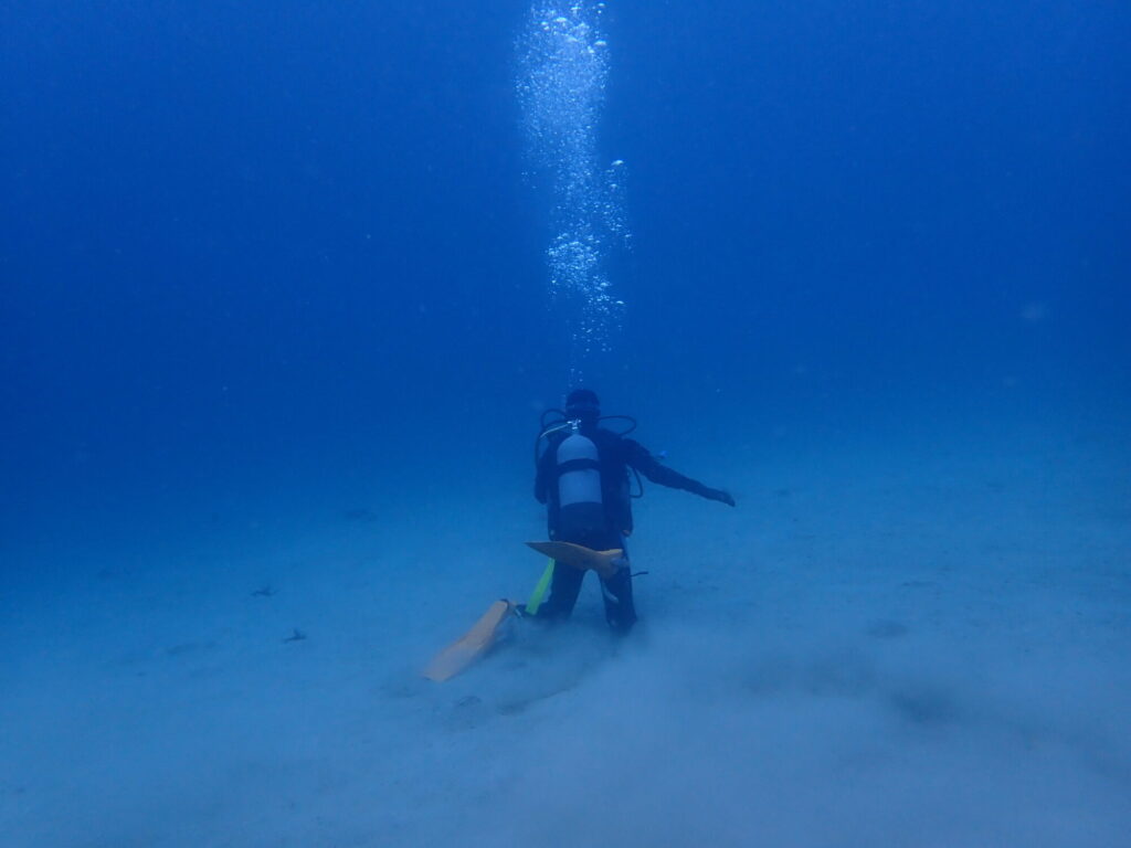 4月5日(日)愛南のビーチで、ゆっくりドライスーツトレーニング!🤿✨のイメージ
